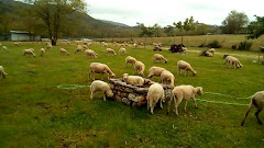 A Capilla - Granja Escuela