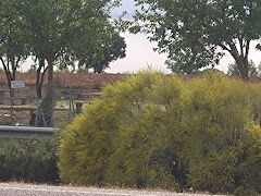 Restaurantes en  Matilla de Arzón provincia de Zamora