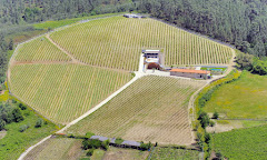 Bodega Eduardo Peña