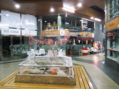 Café Central