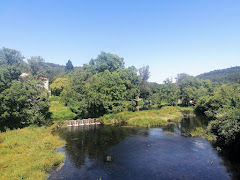 Carballeira das Caldas de Reis