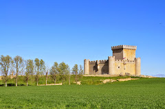 Restaurantes en  Villalonso provincia de Zamora