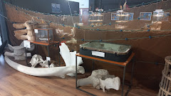 Cofradía de Pescadores de Cedeira
