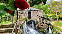 Finca Galea