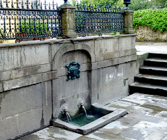 Fonte termal das Burgas