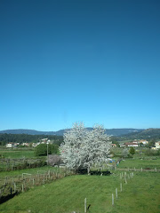 Furancho Linchú