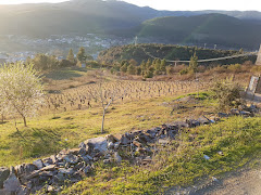 La Colmena