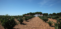 La Viña del Abuelo