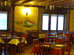 Las Brasas de San Esteban