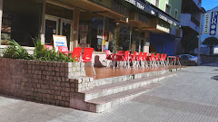 Pensión Bar Cafetería Luzern
