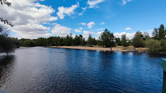 Playa fluvial/ Pradera