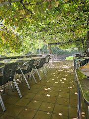 Restaurante Tanxil