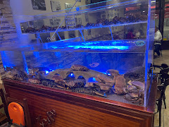 Taberna Restaurante O Museo