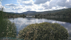Viana 76