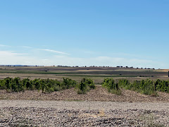 Restaurantes en El Pego provincia de Zamora