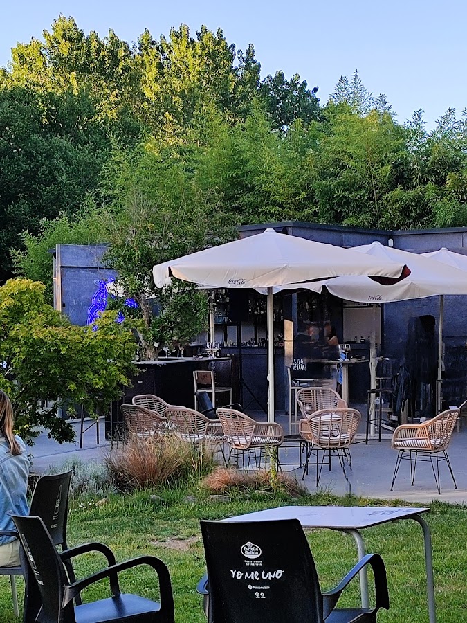 Bambú Terraza
