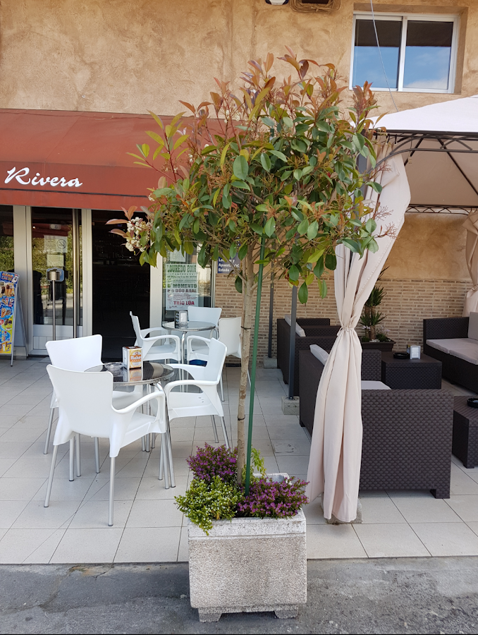 Bar Rivera