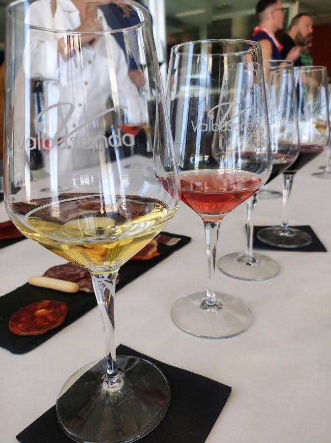 Bodegas Valbusenda
