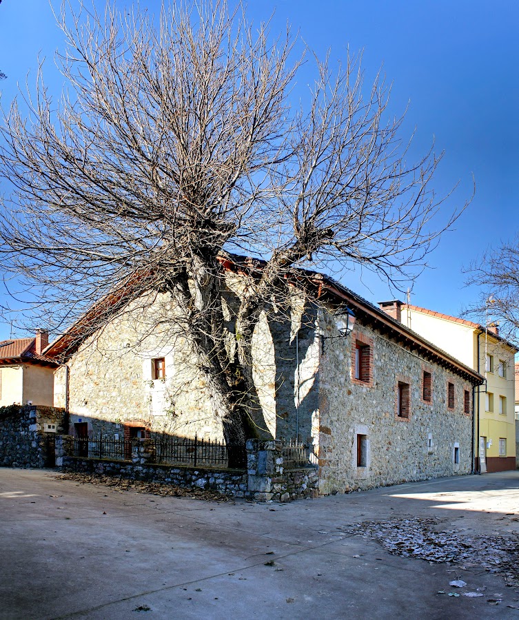 Casa Susaron