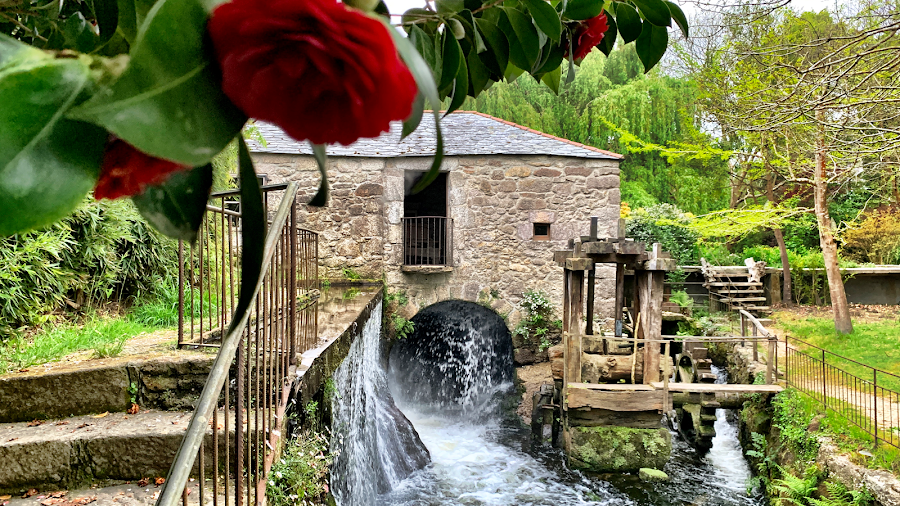 Finca Galea