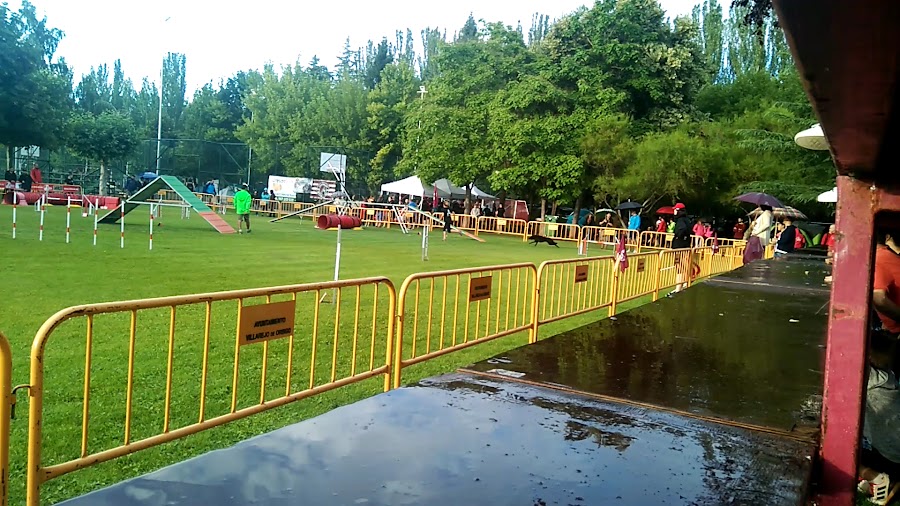 Futbol Veguellina Orbigo