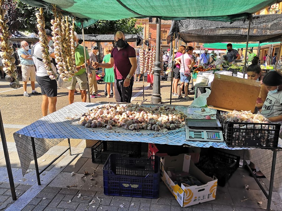 La Taberna de Gelo