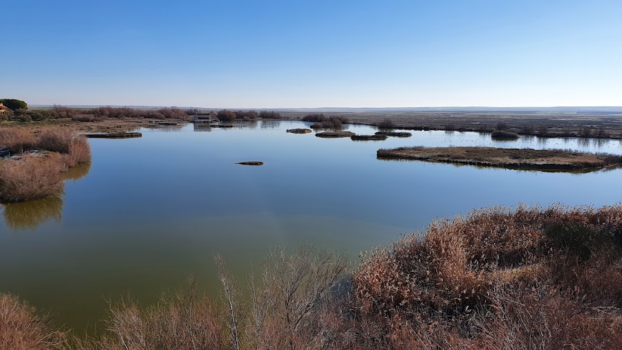 Reserva natural de Lagunas de Villafáfila