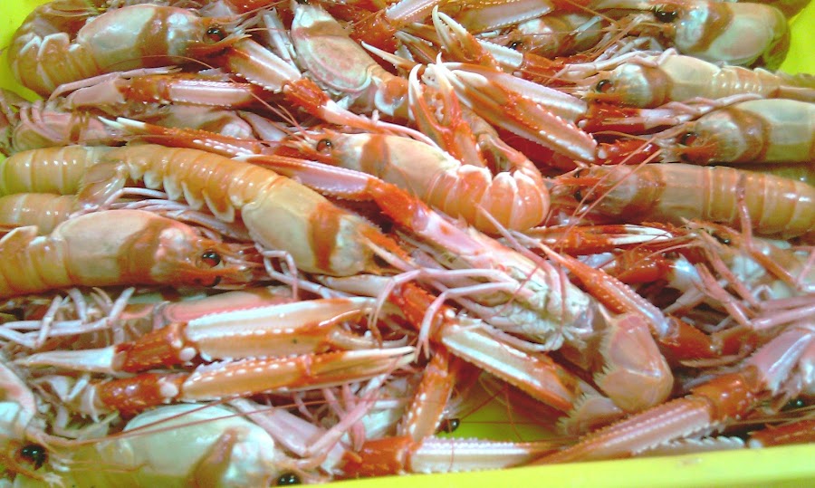 Restaurante El Náutico