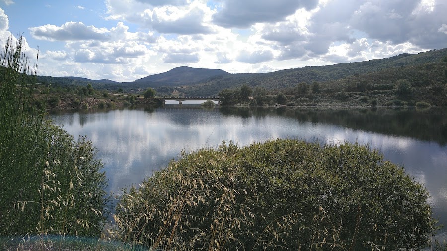 Viana 76